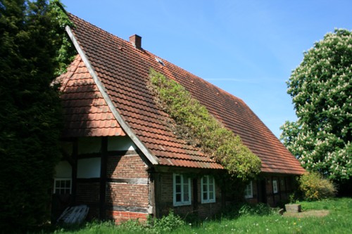 Lieftucht Schöneberg